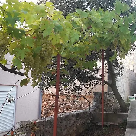 Meerblick Sveti Petar (Zadar)